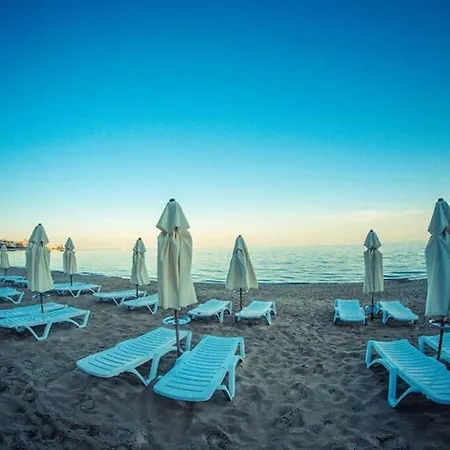 Noks- Marina- Avalonia *