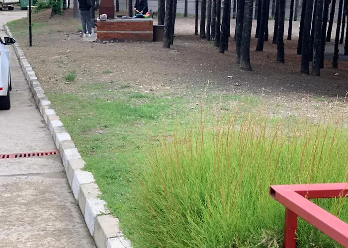 Noks- Marina- Avalonia * Светий Влас